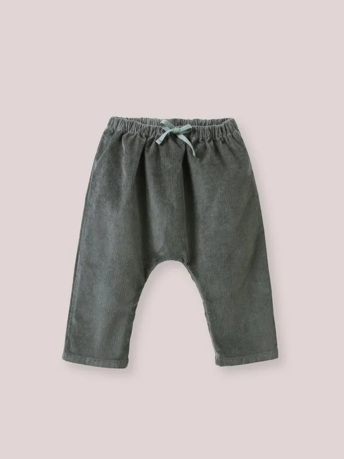 Baby Baby Girl Cyrillus Velour Harem Pants Tilleul