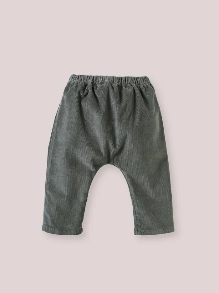 Baby Baby Girl Cyrillus Velour Harem Pants Tilleul