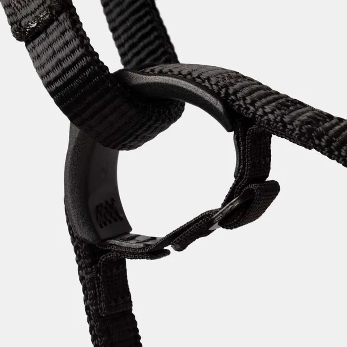 Climbing Equipment Women Mammut Comfort Fast Adjust Harness Sharksafety Orange Climbing Equipment Women Mammut Comfort Fast Adjust Harness Sharksafety Orange