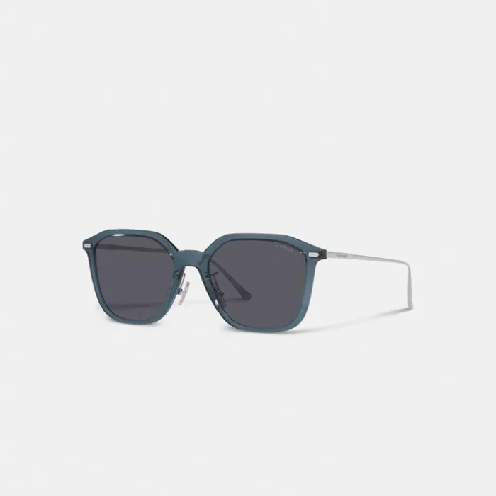 Men Rounded Geometric Sunglasses Transparent Dark Blue Coach Sunglasses