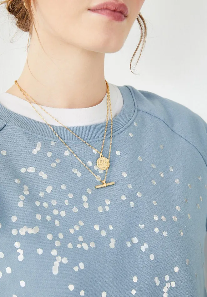 Sweatshirts and Hoodies Women Hush Confetti Crew Neck Sweatshirt Dove Blue