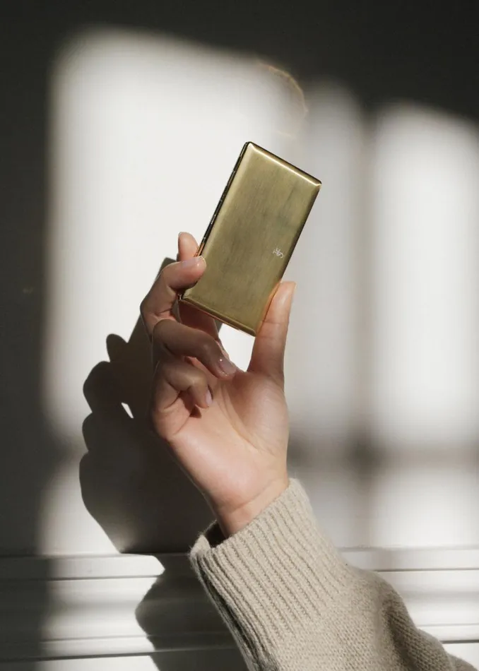 The Frankie Shop TFS Multiuse Gold Case Shop Accessories