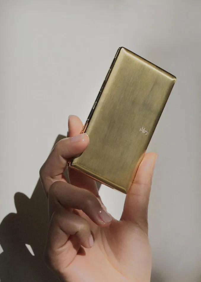 The Frankie Shop TFS Multiuse Gold Case Shop Accessories