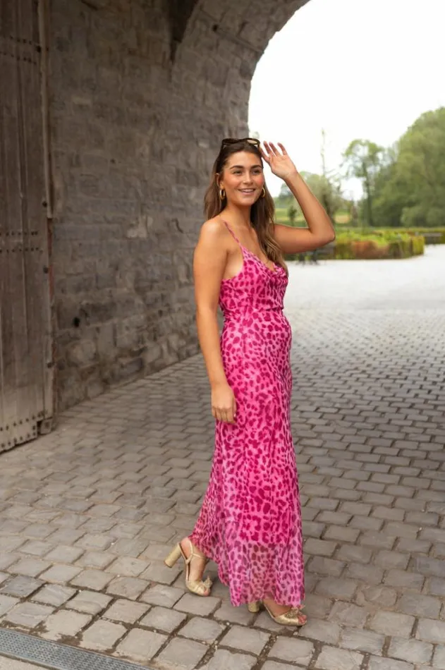 Women039s Clothing Dresses Easy Clothes Pink Leopard Ludo Dress Pink Leopard Women039s Clothing Dresses Easy Clothes Pink Leopard Ludo Dress Pink Leopard