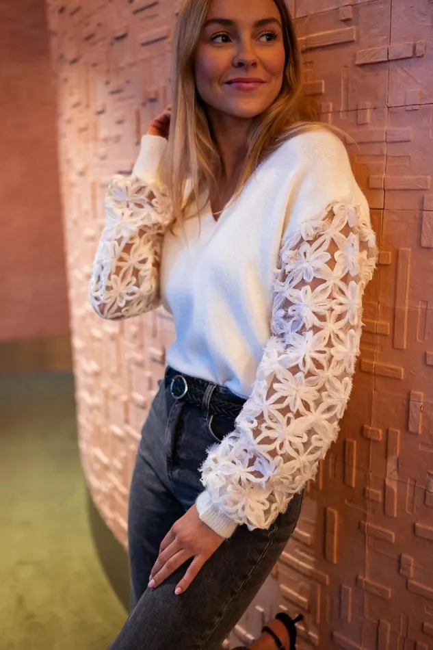 Women039s Clothing Sweaters Easy Clothes Ecru Amel Sweater With Embroidered Sleeves Women039s Clothing Sweaters Easy Clothes Ecru Amel Sweater With Embroidered Sleeves