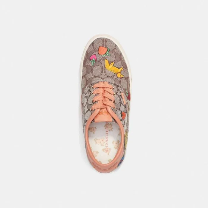 Women Coach X Observed By Us Skate Lace Up Sneaker In Signature Jacquard Oakfaded Orange Coach Sneakers Women Coach X Observed By Us Skate Lace Up Sneaker In Signature Jacquard Oakfaded Orange Coach Sneakers