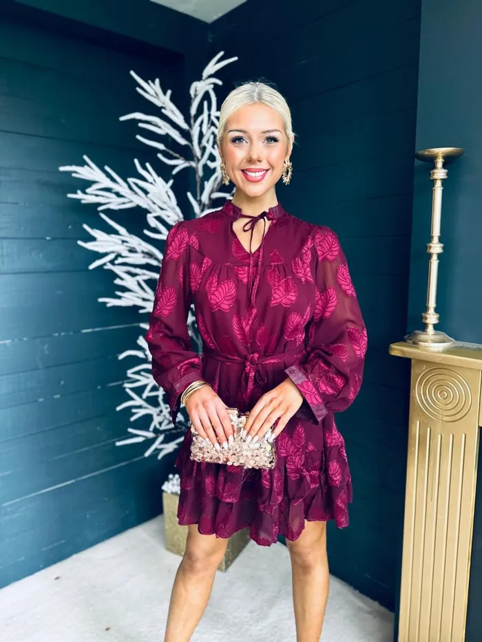 Women Day Dress Canella Lane Lainey Layered Mini Dress Print Ruby