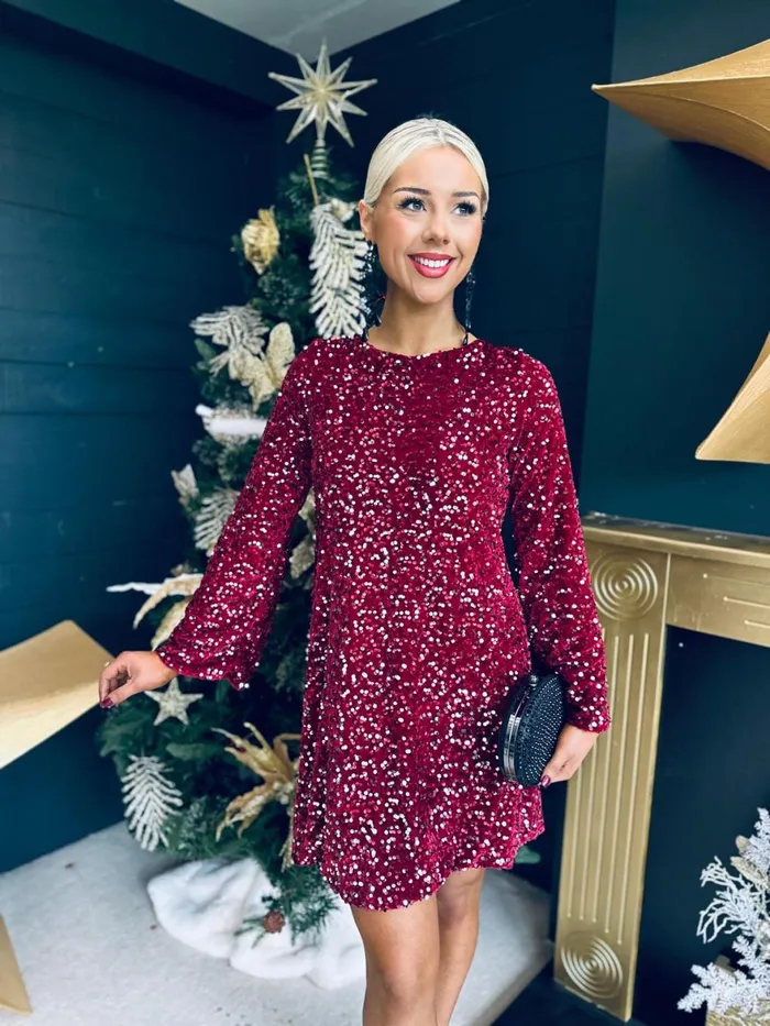 Women Day Dress Canella Lane Sara Bow Detail Sequin Mini Dress Burgundy Silver
