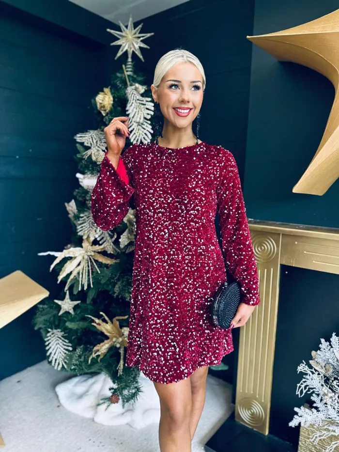 Women Day Dress Canella Lane Sara Bow Detail Sequin Mini Dress Burgundy Silver