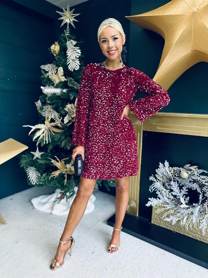 Women Day Dress Canella Lane Sara Bow Detail Sequin Mini Dress Burgundy Silver