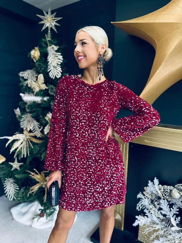Women Day Dress Canella Lane Sara Bow Detail Sequin Mini Dress Burgundy Silver