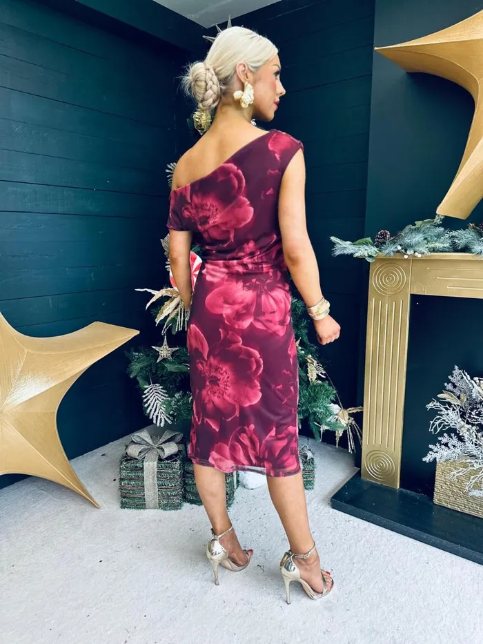 Women Evening Dress Canella Lane Donna Asymmetric Neckline Floral Print Mesh Midi Dress