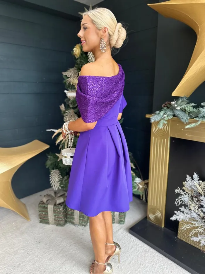 Women Evening Dress Canella Lane Molly Detailed Occasion Dress Purple