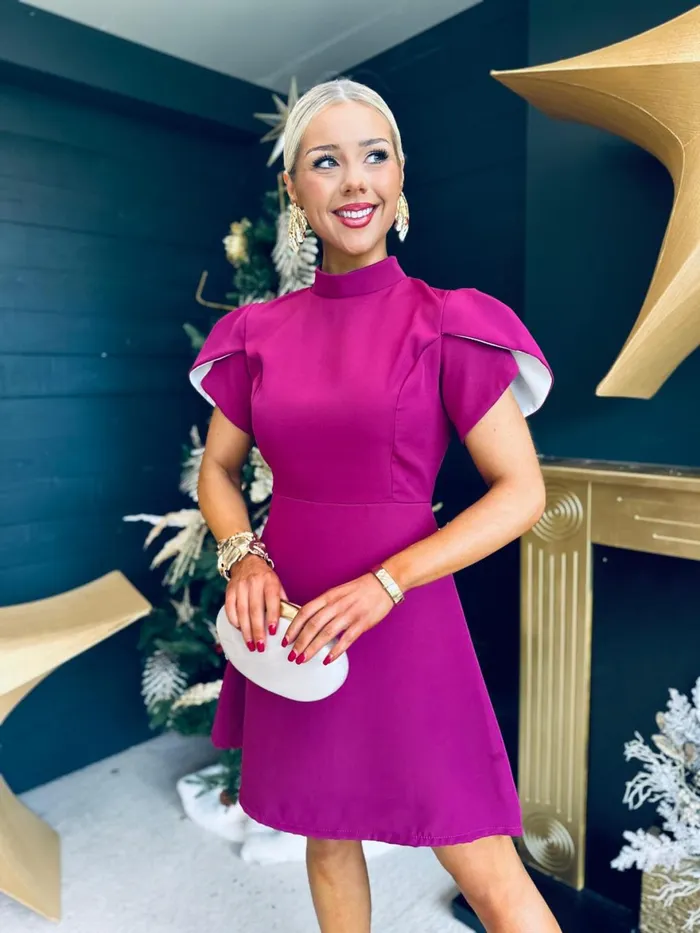 Women Evening Dress Canella Lane Rue Detailed Occasion Mini Dress Berry