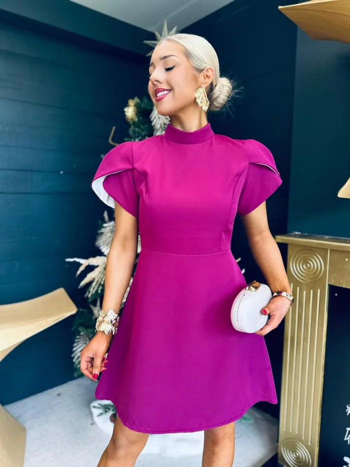 Women Evening Dress Canella Lane Rue Detailed Occasion Mini Dress Berry