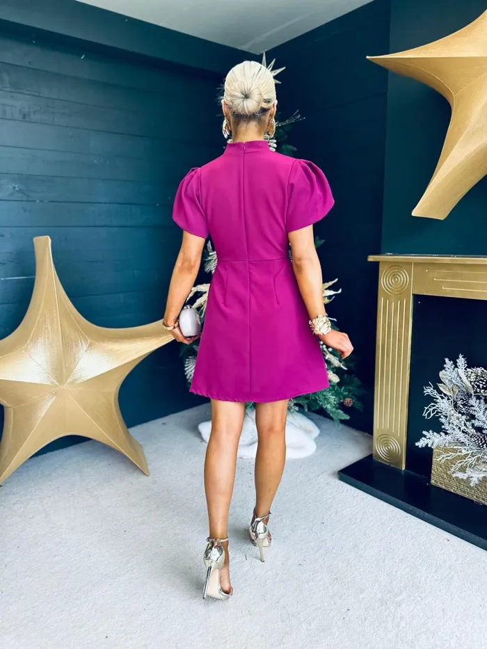 Women Evening Dress Canella Lane Rue Detailed Occasion Mini Dress Berry