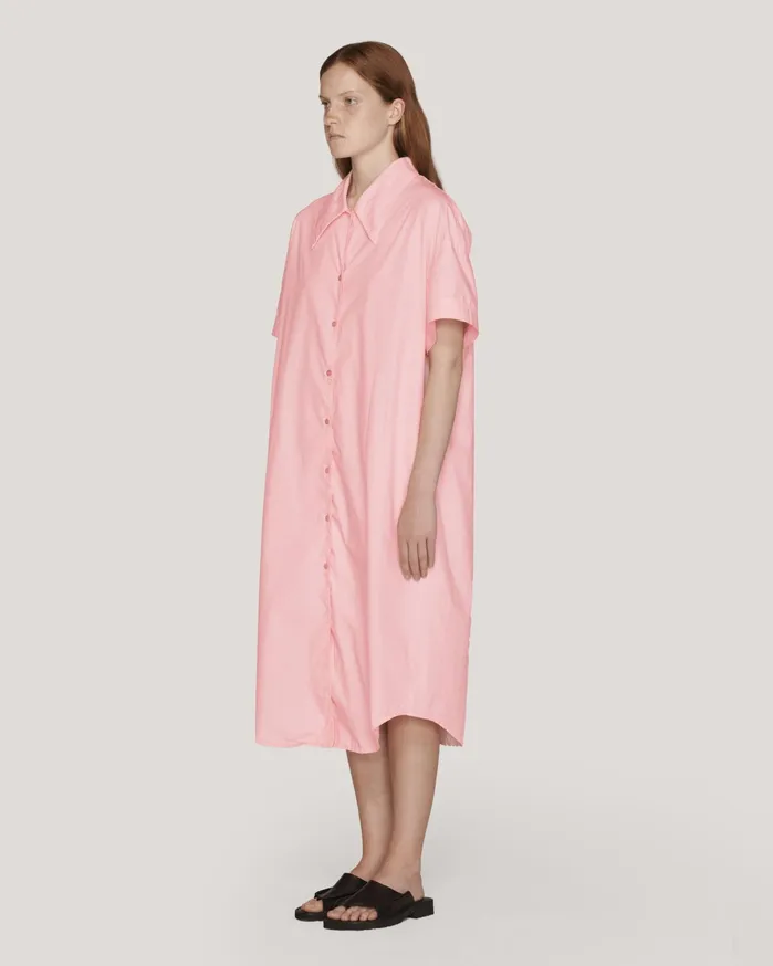 Women Judy Dress Pink YMC Dresses