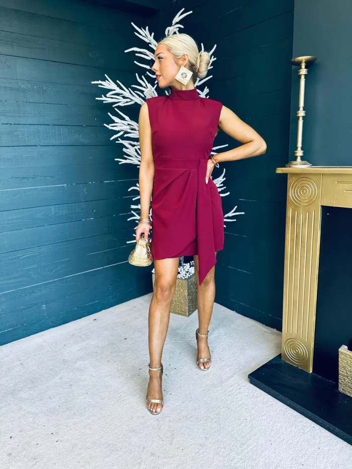 Women Mini Canella Lane Darcy High Neck Mini Dress Burgundy