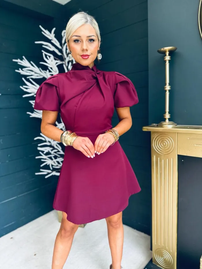 Women Mini Canella Lane Marilyn Detailed Occasion Mini Dress Berry