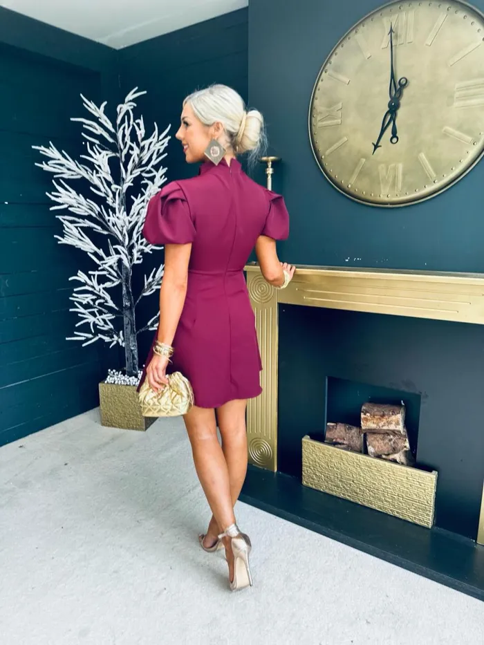 Women Mini Canella Lane Marilyn Detailed Occasion Mini Dress Berry