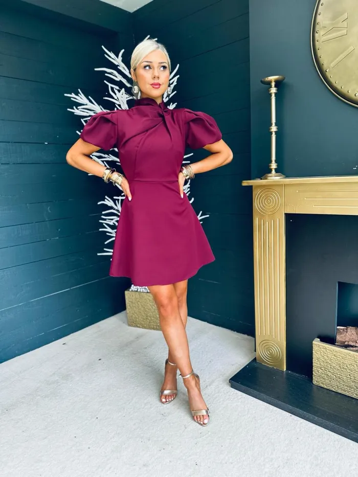 Women Mini Canella Lane Marilyn Detailed Occasion Mini Dress Berry