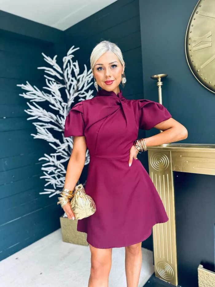 Women Mini Canella Lane Marilyn Detailed Occasion Mini Dress Berry