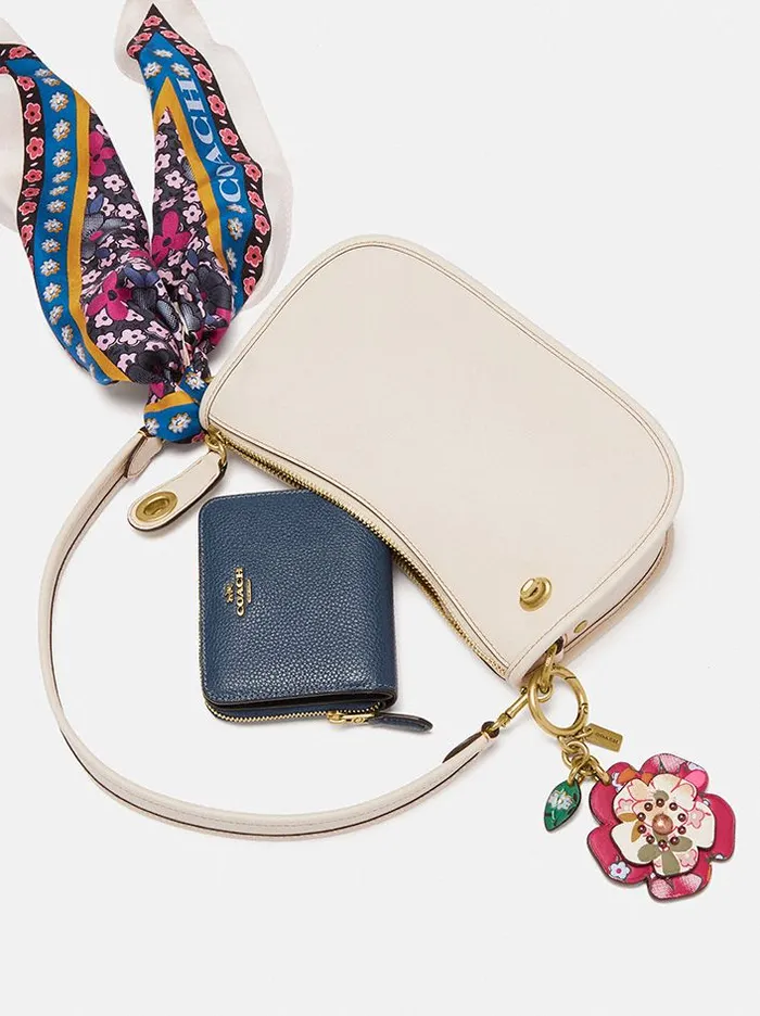 Women Swinger Bag Brasschalk Coach Crossbody Bags