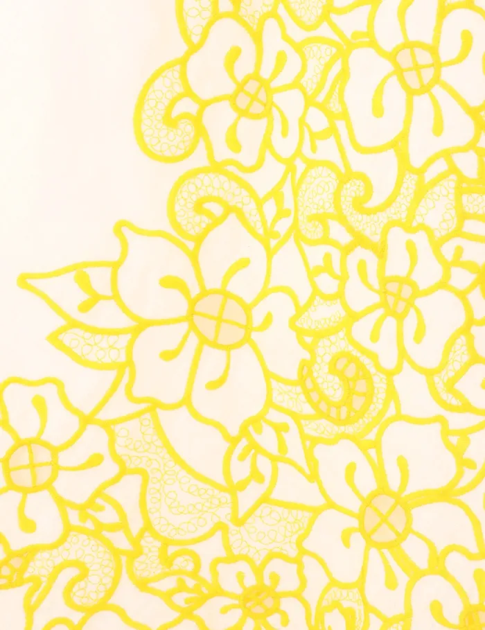 Women Zimmermann Clothing Golden Embroidered Midi Dress Ivoryyellow