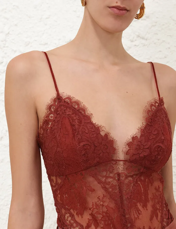 Women Zimmermann Clothing Illustration Lace Teddy Chestnut